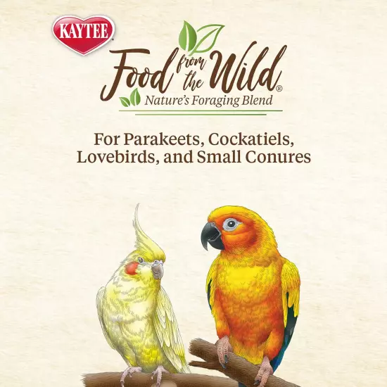 Food from the Wild Natural Pet Bird Snack Food Treats for Parakeets, Cockatiels,