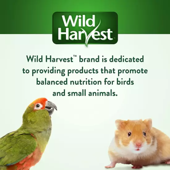 Nutrient-Rich Universal Blend for Small Birds - Premium Seeds & Vegetables