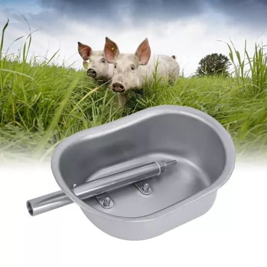 Stainless Steel Piglets Farm Livestock Pig Feeding Drinking Water Bowl Access US