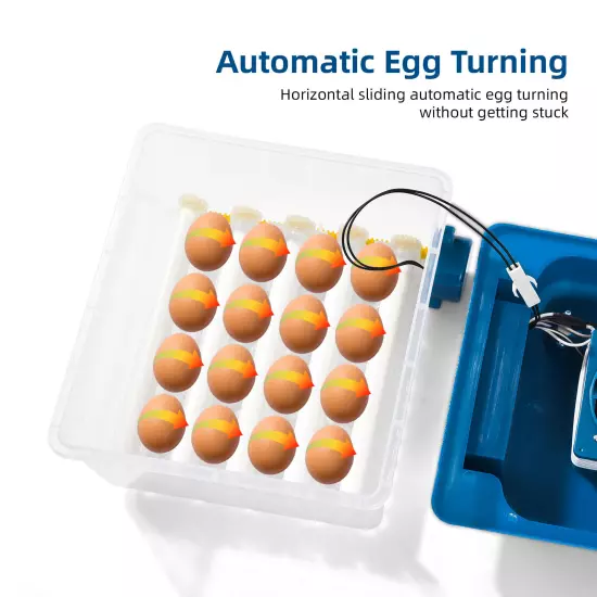 16 Eggs Incubator with Automatic Turning, Humidity Control, V1C3