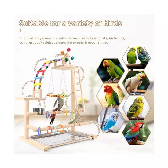 Bird Playground, Perch Stand Parrot Playstand Play Gym with 2 Perches Stand W...