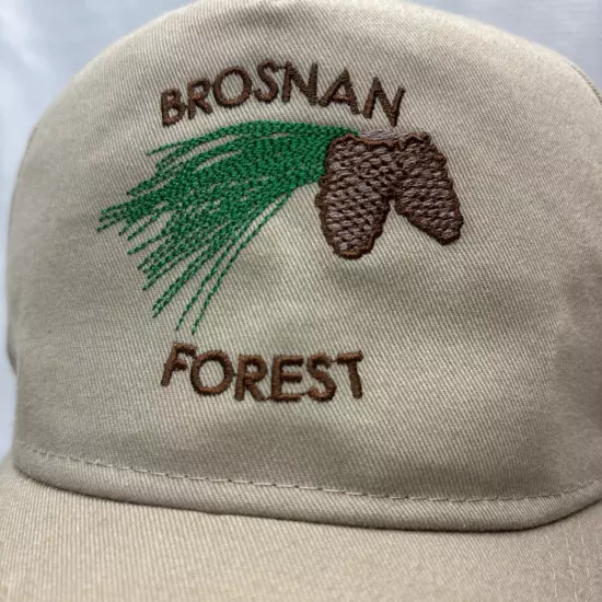 Brosnan Forest Hat Cap Embroidered Dad Pinecone Tan Snapback Charleston Norfolk