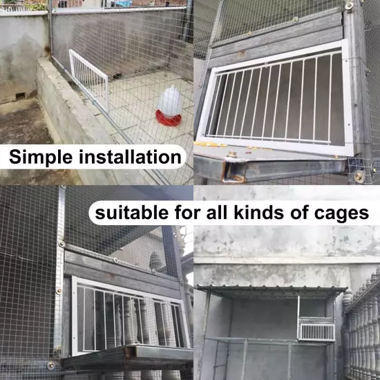 Pigeon Loft Door Pigeon Entrance Door Trap Door Pigeon House Door Racing Supplie