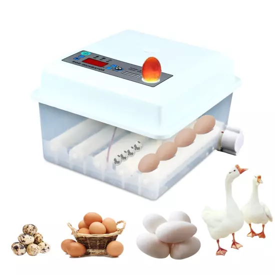 Automatic Incubator 16 Eggs Digital Turner Hatcher Chicken Temperature Control