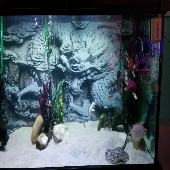 Aquarium Background Poster Dragon Relief HD 3D Fish Tank Decorations Landscape