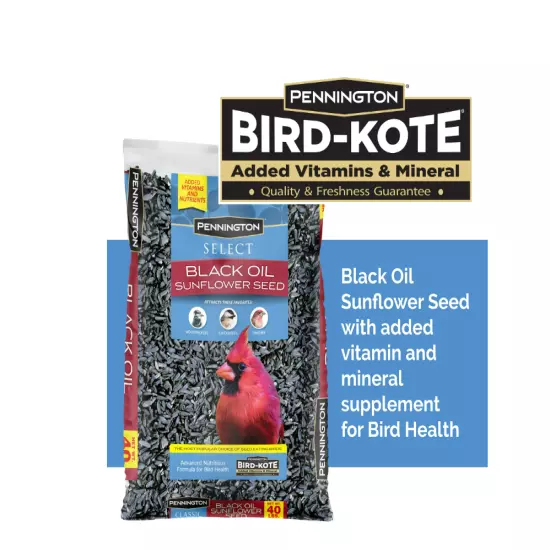 Pennington Select Black Oil Sunflower Seed Dry Wild Bird Feed, 40 lb. Bag, 1 Pac