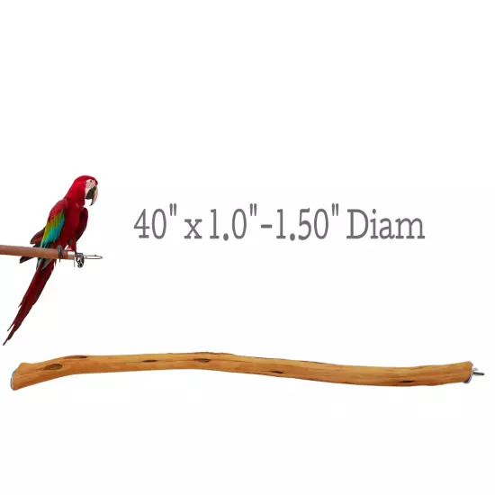 LARGE MANZANITA BIRD / PARROT PERCHES, 40"