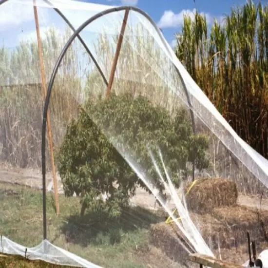  10' x 25' BABY POULTRY NETTING GAME BIRD NET AVIARY NETS 3/8" #139 LIGHTWEIGHT