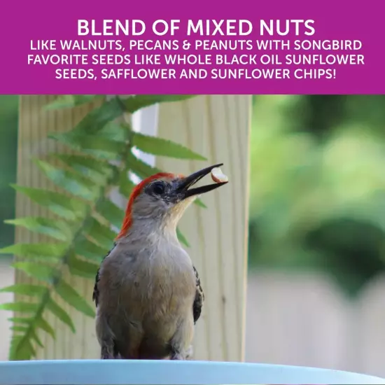 NEW Ultra Double Nut Fruit Blend, Wild Bird Seed and Feed, 2.5 lbs / 10 lbs