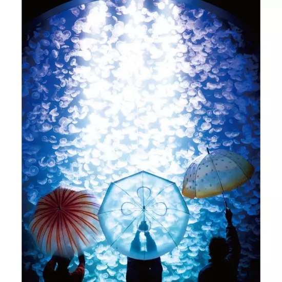 YOU+MORE! A moon jellyfish umbrella swimming in the rainy sky