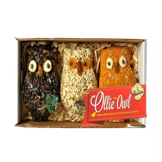 Ollie Owl Bird Seed Ornaments (1)