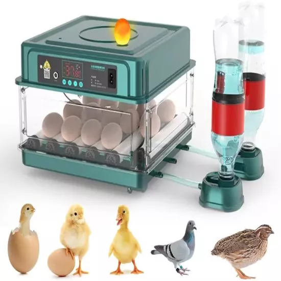 Automatic Egg Incubator 10-130 Egg Digital Poultry Hatcher Machine