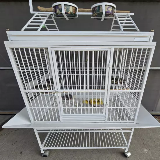 LARGE 63" Bird Parrot Play-Top Cage Cockatiel Macaw Conure African Grey Conures