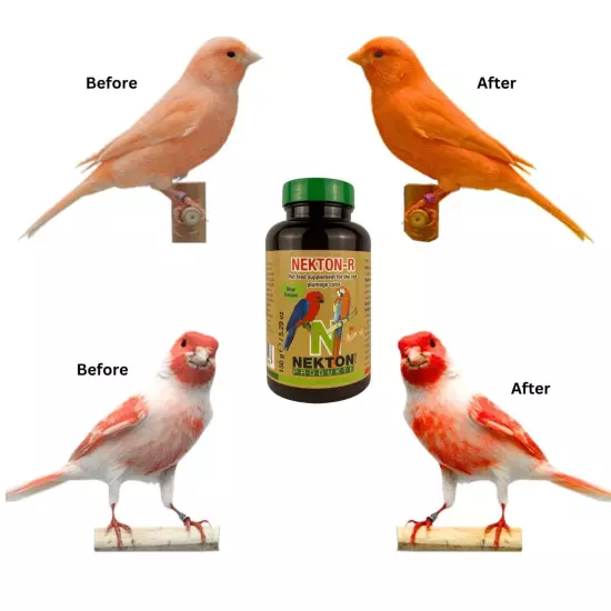 Nekton-R Intensify Red Bird Color, Excellent for red factor canaries.(150g)