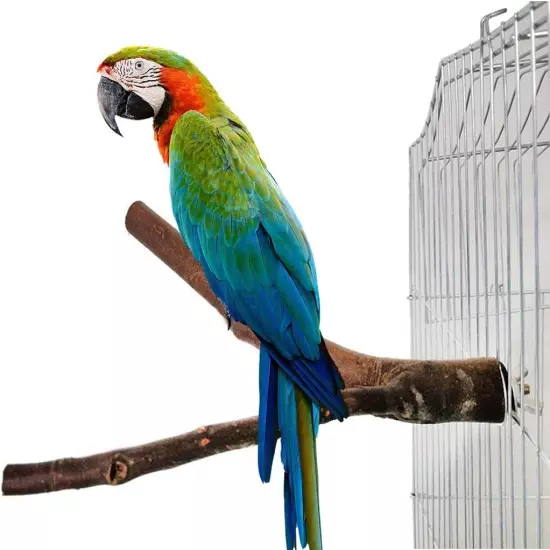 6 Packs Natural Bird Wood Perch Parakeet Standing Toy Sticks Parrot Paw Grinding