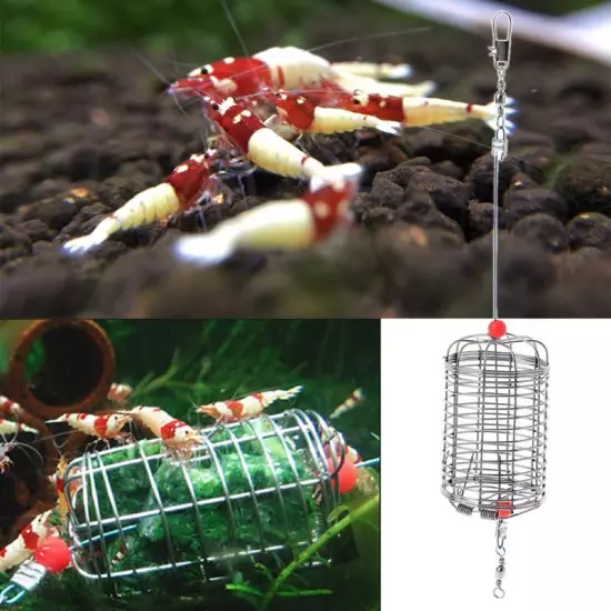 Fish Shrimp Feeder Stainless Steel Basket Shrimp Feeding Tool with Hook