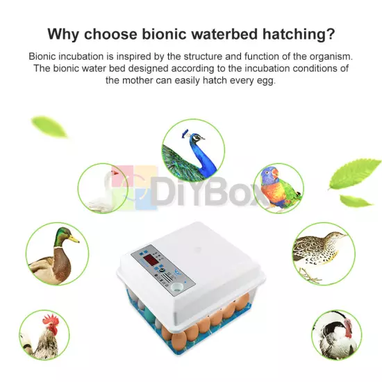 20/50Eggs Incubator Fully Automatic Brooder Chicken Poultry Quail Bird Hatcher