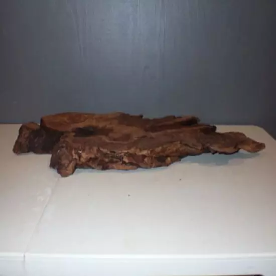 33" x 15" Unique Piece of Wood For Projects Taxidermy Etc. 