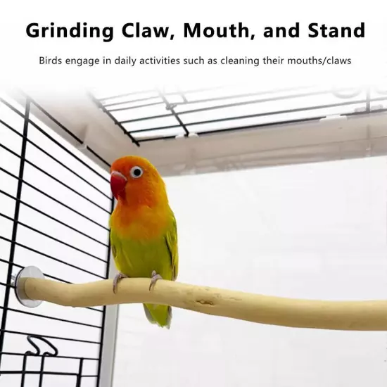 Bird Perch Stand Natural Wood Bird Cage Perch For Budgie, Finch, Parrot Hot