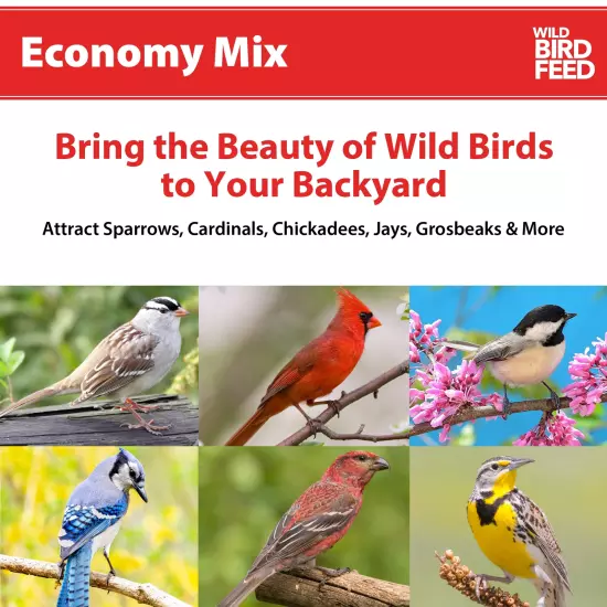 Economy Mix Wild Bird Feed, Value Bird Seed Blend, Dry, 20 Lb. Bag 2 PACK