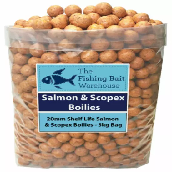 SALMON & SCOPEX Carp Fishing Boilies 20mm 1kg-20kg - Shelf Life Boilies - Coarse