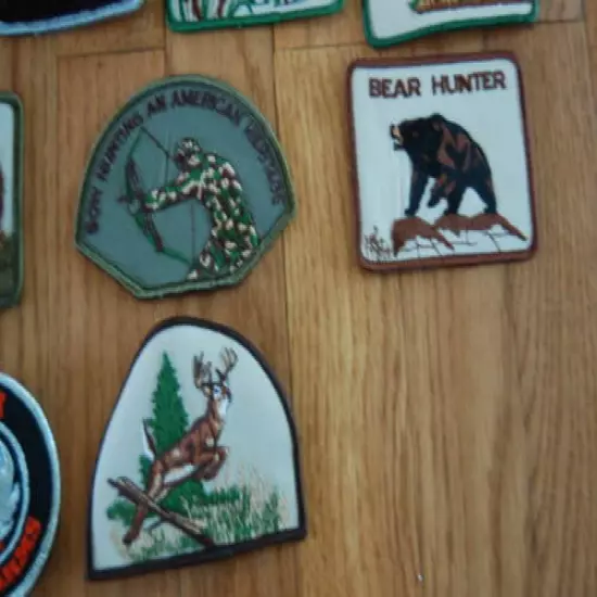 Group of 13 Voyager Hunting Related Emblems - Elk, Bear, Duck etc