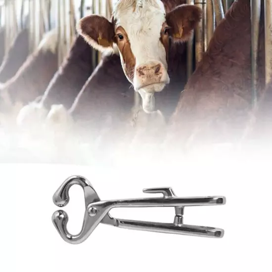 Cattle Nose Livestock Stainless Steel Livestock Bull Cow Nose Lead Cattle4593