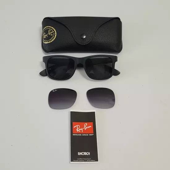 Ray Ban Classic Justin Sunglasses Matte Black RB4165 