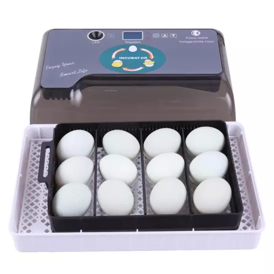 12 Eggs Auto Incubator Digital Poultry Hatcher Auto Turning LED Lamp Pet Home