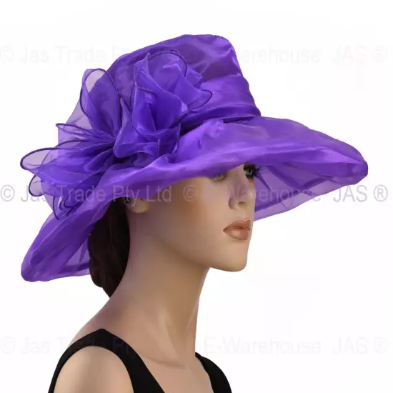 Spring Race Carnival Derby Day Church Wedding Women Ladies Organza Evening Hat