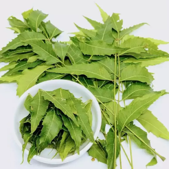 Freshly Picked Dried NEEM LEAVES Ceylon Herbal Pure Organic Premium Quality Herb