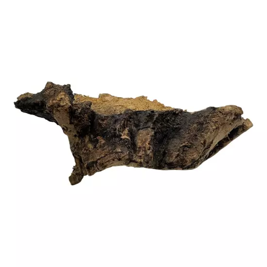 Missouri Ozark Area Driftwood Decor For Aquarium 8½"×5"×3" Swirl Wood Pattern 