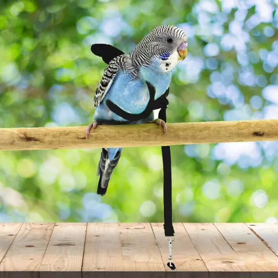 Pet Parrot Bird Harness and Leash Adjustable Training Design AntiBite Bird Ny