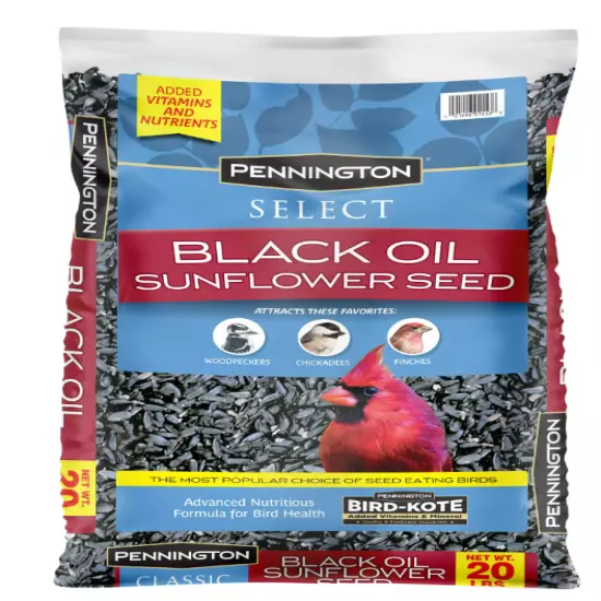 Pennington Select Black Oil Sunflower Seed Dry Wild Bird Feed 40lb Bag