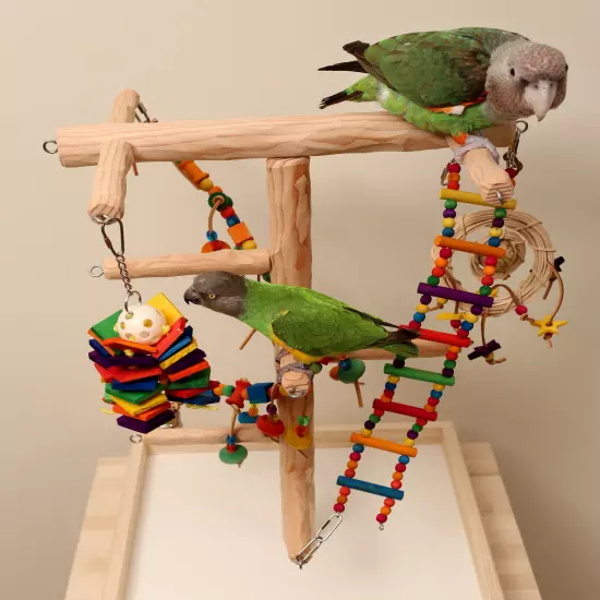 Deluxe Tabletop Parrot Climbing Tree - Tabletop Tree for Small to Medium Parrots