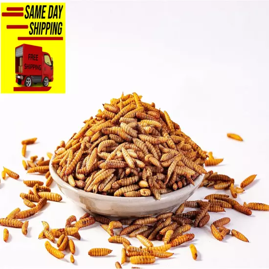 Dried Black Soldier Fly Larvae (5Lb), 100% Natural Non-Gmo, Treat for Chickens, 