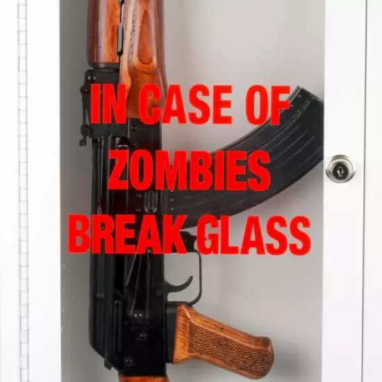 Zombie / Emergency Break Glass Gun Cabinet – Display Case - Wall Mountable