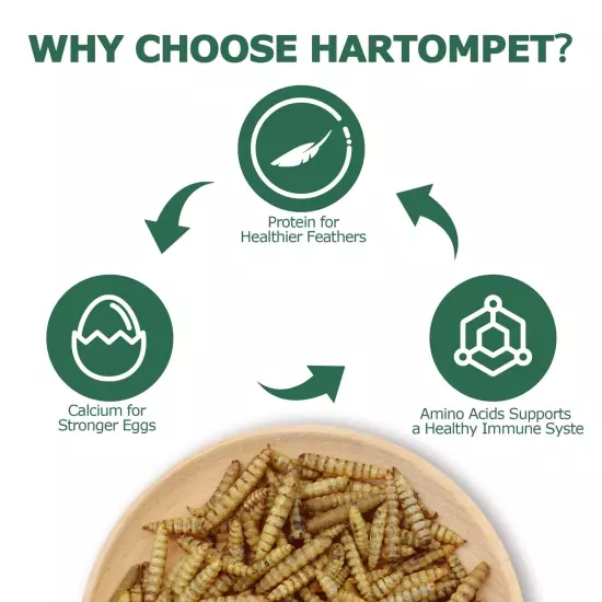 Dried BSF Larvae for Chickens - Non-GMO Poultry Feed Supplement, 85X More Cal...