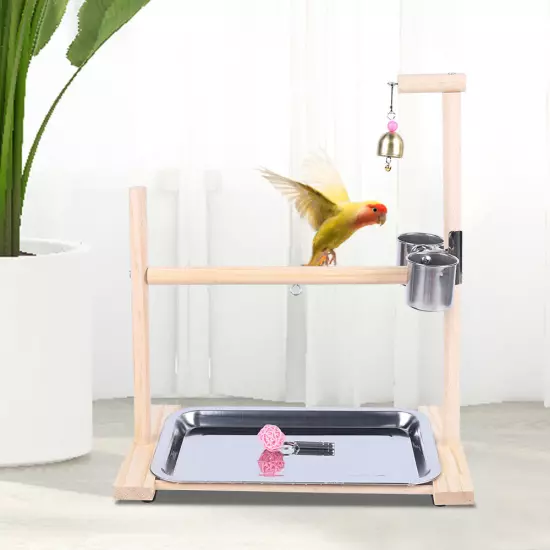 Bird Stand parrot Playstand Bird Playground Gym Training Stand Toys With Feeder