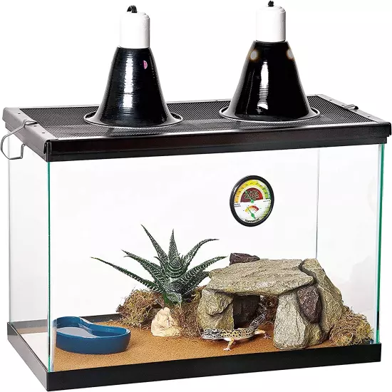 10 Gallon Pet Reptile Starter Habitat Kit with Light and Heat for Small Desert D