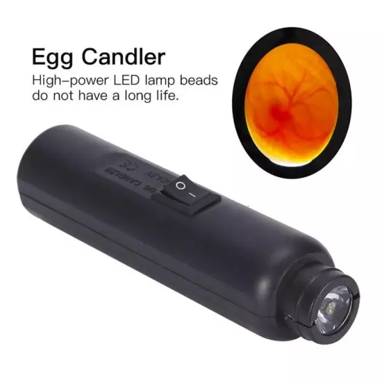 High Egg Candle Tester Dual Power Mains or Battery Operated