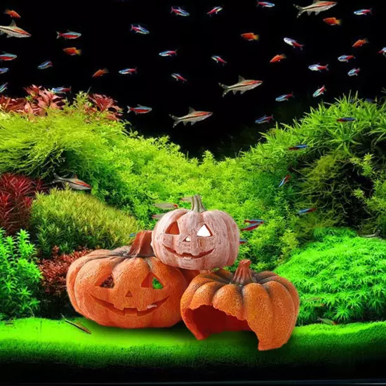 Halloween Mini Pumpkin Ornament Fish Tank Aquarium Habitat Resin Land