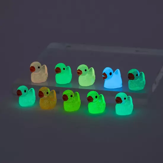 10PCS Mini Luminous Resin Ducks Glow in The Dark Miniature Ornament Tiny Duck Sn