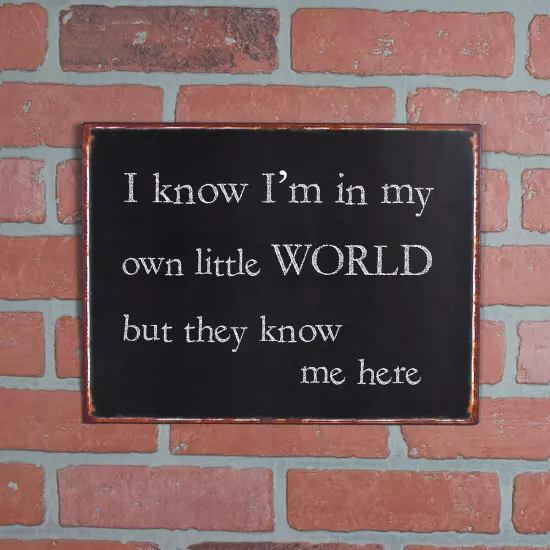 I Know I'm in My Own Little World But They Know Me Here Sign Wall Art Home Decor