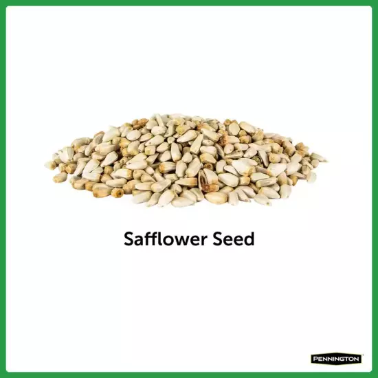 Safflower Bird Seed Food Pennington Premium 7 lb Multiple Bird Species Type