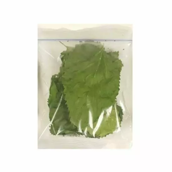 100+ Dried Organic Mulberry Leaves Crystal Red Cherry Shrimp Food Non Pesticides