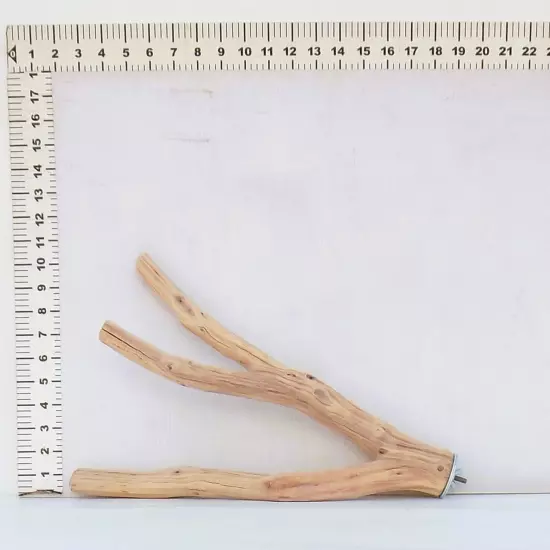 Large Manzanita Parrot Perch for Aviary 16"x 11", diam 1.0"- 1.75" 0816-BP1