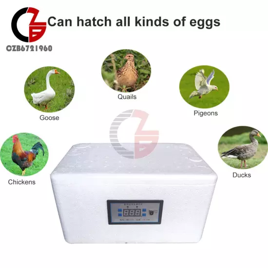 Automatic Temperature Control Egg Incubation Foam Bionic Egg Incubator Tools