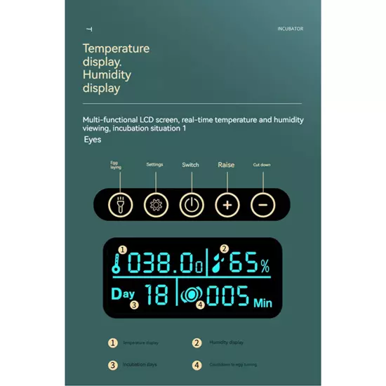 Egg Incubator Automatic Chicken Quail Chick Hatcher Incubators for Hatching Eggs