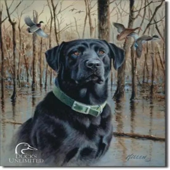 Ducks Unlimited Black Lab Labrador Great Retrievers Tin Metal Sign Made In USA